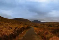 Down Cunningham